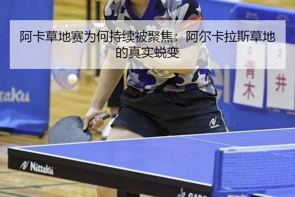 阿卡草地赛为何持续被聚焦：阿尔卡拉斯草地的真实蜕变 - MKSPORTS MKSports